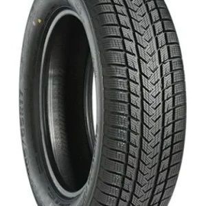 Reducere de preț GRIPMAX SUREGRIP eWINTER 205/55R17 95V XL