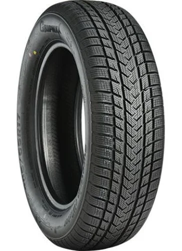 Reducere de preț GRIPMAX SUREGRIP eWINTER 205/55R17 95V XL