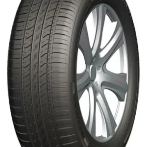 DOUBLE COIN DCO-MAX 185/70R14 88H Chilipir