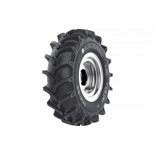 ASCENSO 6,00 -14 4PR TDB121 TL(Agricole) Plată securizată