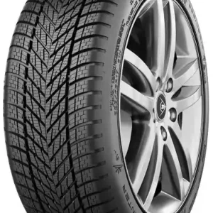 Mai ieftin DUNLOP WINTER 205/55 R16 91H