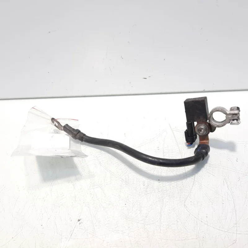 Preț redus Borna baterie (-) cu capsa, cod A1665420218, Mercedes Clasa C Coupe (C204) (idi:558621)