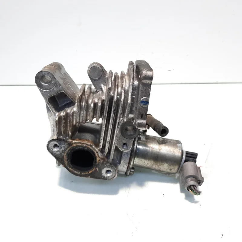 Retur gratuit Egr, Renault Megane 2, 1.9 DCI, F9Q (id:558890)