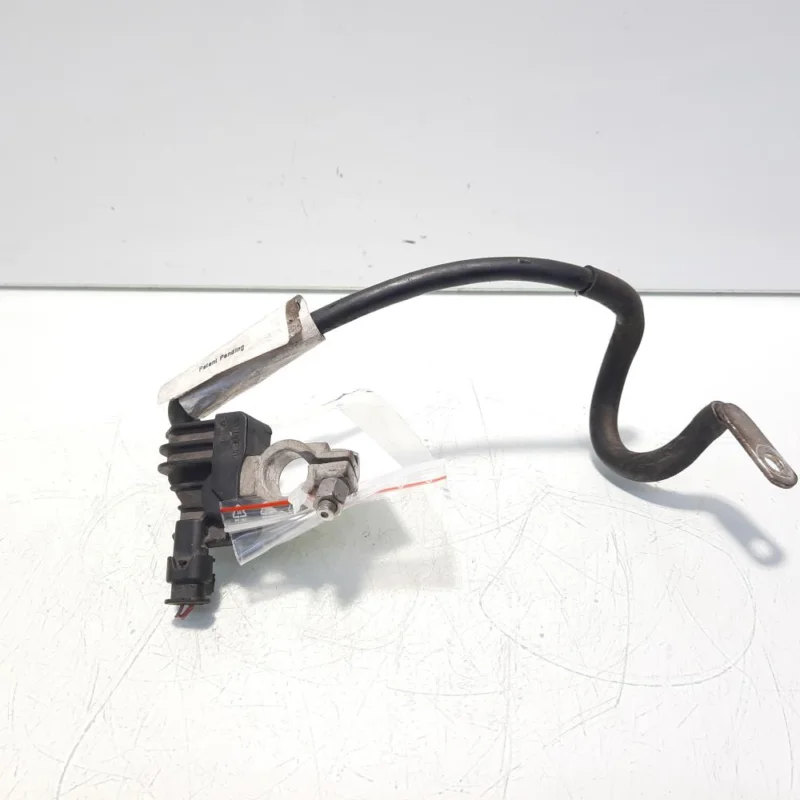 Borna baterie (-) cu capsa, cod 1K0915181C, VW Golf 6 Variant (AJ5) (id:557476) Cumpărături sigure