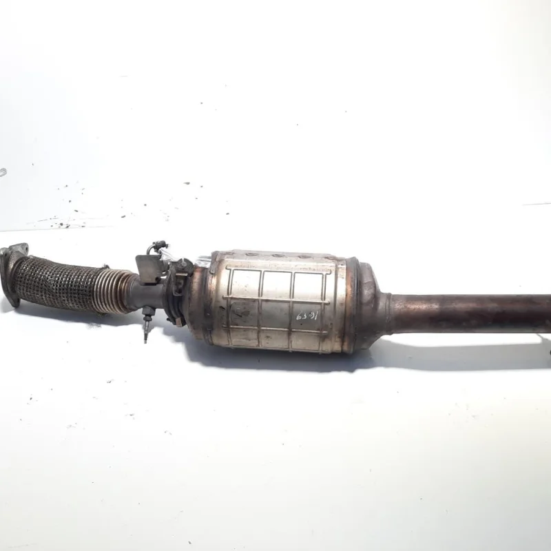 Catalizator cu filtru de particule, cod 208020008R, Renault Laguna 3, 2.0 DCI, M9R808 (id:555364) Preț redus