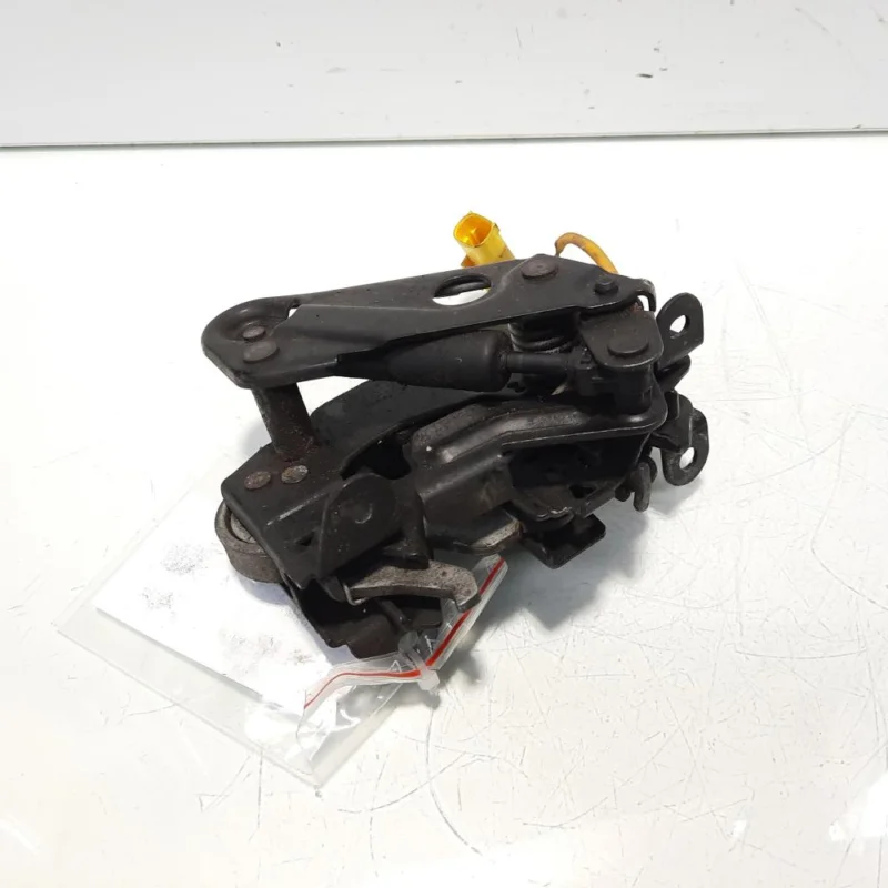 Ofertă de sezon Broasca capota fata dreapta, cod 7184442, Bmw 5 (F10) (id:554867)