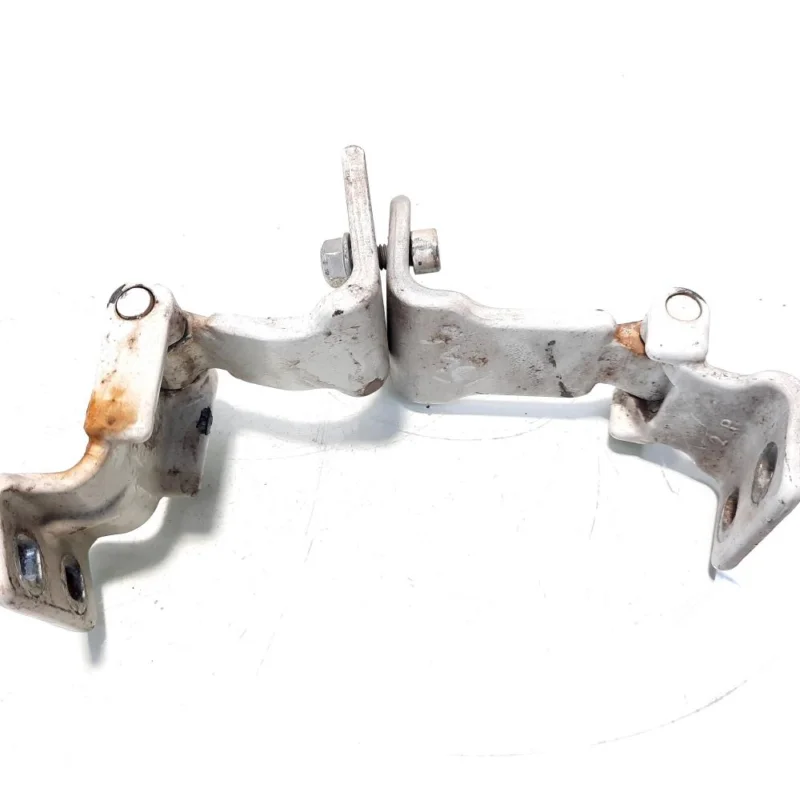 Vezi acum Set balamale usa dreapta spate, Fiat Doblo Cargo (263) (id:550691)