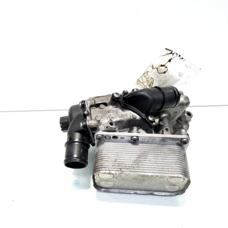 Preferatul clienților Carcasa filtru ulei, Nissan Qashqai, 2.0DCI, M9R (id:548543)