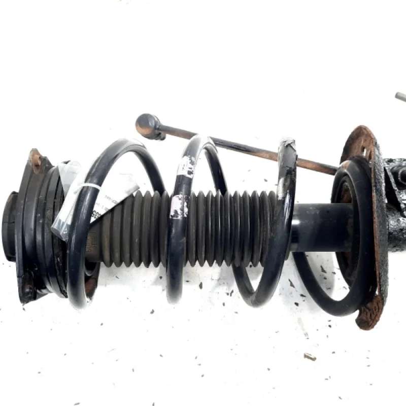 Disponibil imediat Arc fata, Renault Koleos 1, 2.0 DCI, M9R832, 4x4 (id:545535)