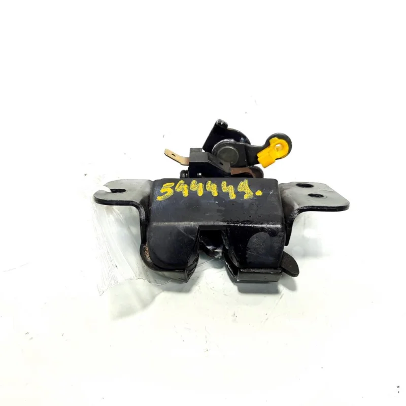 Reducere specială Broasca haion, Hyundai Amica (id:544449)