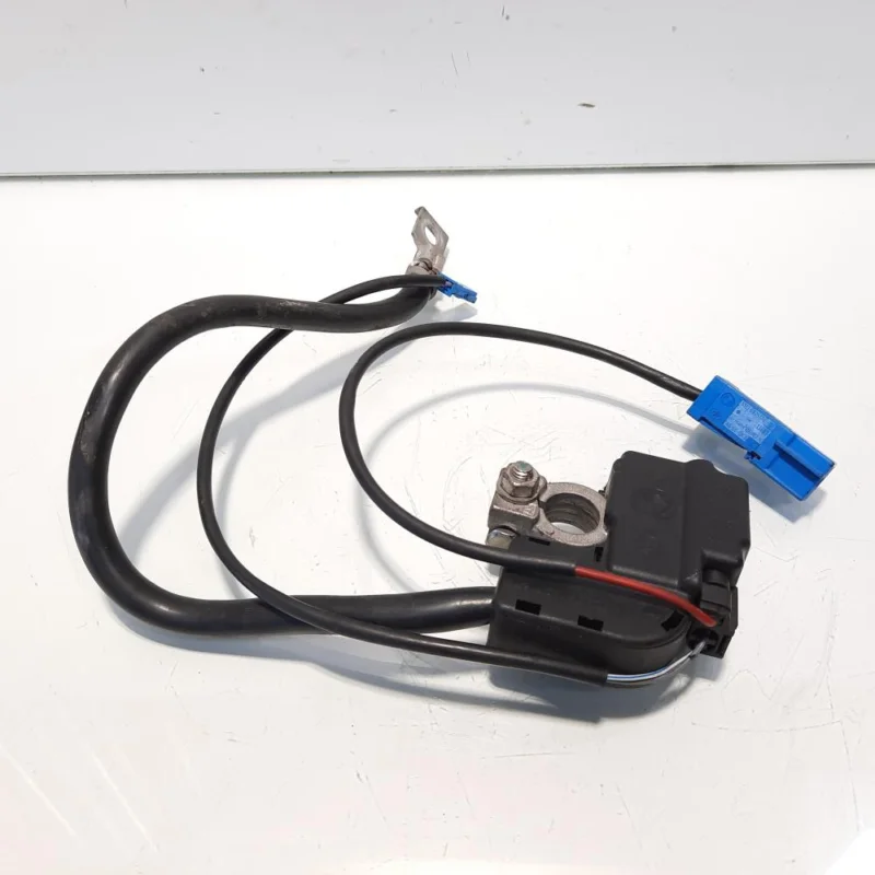 Borna baterie (-) cu capsa, cod 7573029, Bmw 3 (E90), 2.0 diesel, N47D20A (id:540104) Nu rata