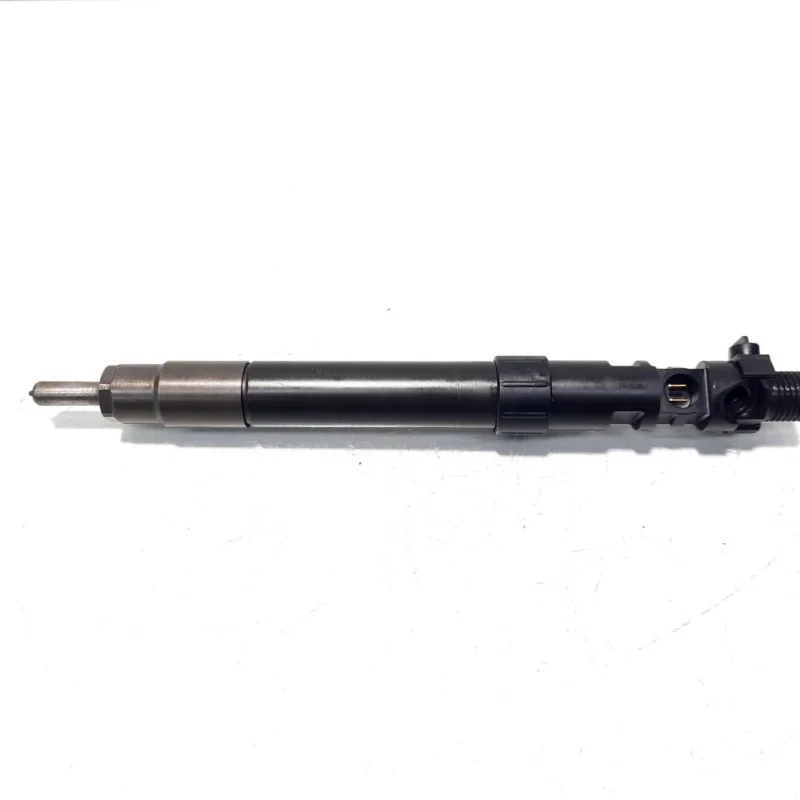 Preț mic Injector, cod 9686191080, EMBR00101D, Citroen C5 (III), 2.0 HDI, RHH (idi:529998)