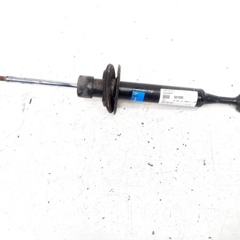 Disponibil imediat Amortizor fata, Audi A4 (8EC, B7) 1.9 TDI, BKE (id:531220)