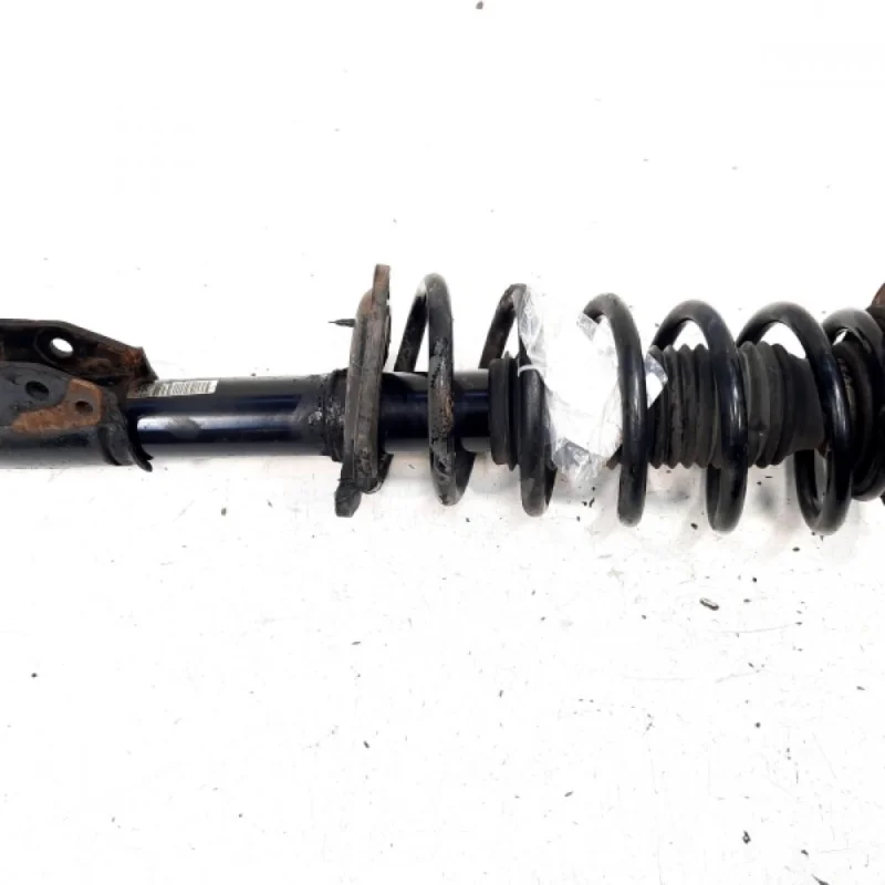 Ofertă de sezon Amortizor fata, Chevrolet Captiva (C100) 2.0 diesel, LLW, 4x4 (id:529550)