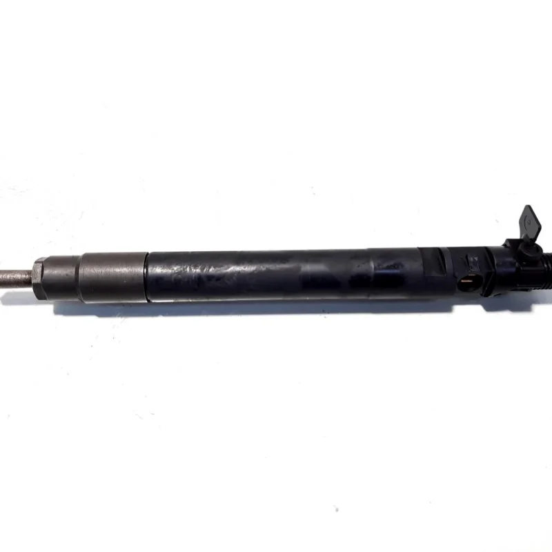 Injector, cod 9686191080, EMBR00101D, Citroen C4 Grand Picasso, 2.0 HDI, RHE (idi:516583) Chilipir