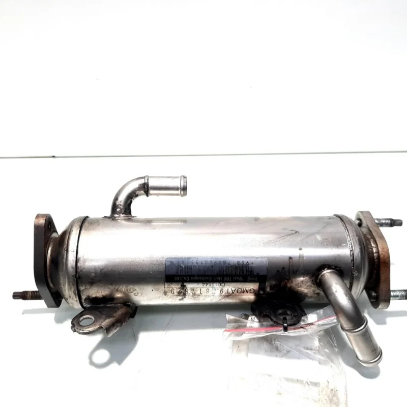 Calitate înaltă Racitor gaze, cod 96817829, Opel Antara, 2.0 CDTI, Z20S1 (id:513749)