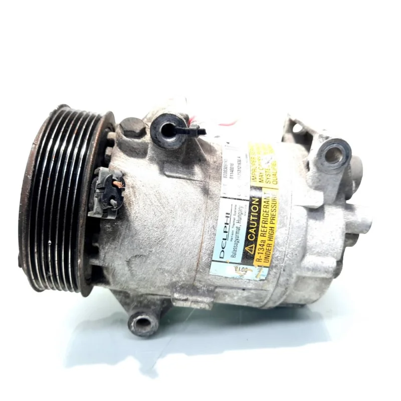 Doar azi Compresor clima, cod 8200309193, Renault Scenic 2, 1.9 DCI, F9Q812 (id:513076)
