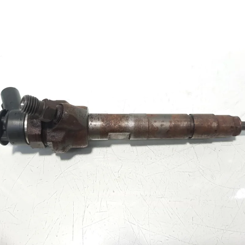 Cumpărături sigure Injector, cod 7798446-04, 0445110289, Bmw 5 Gran Turismo (GT), 2.0 diesel, N47D20C (idi:497127)