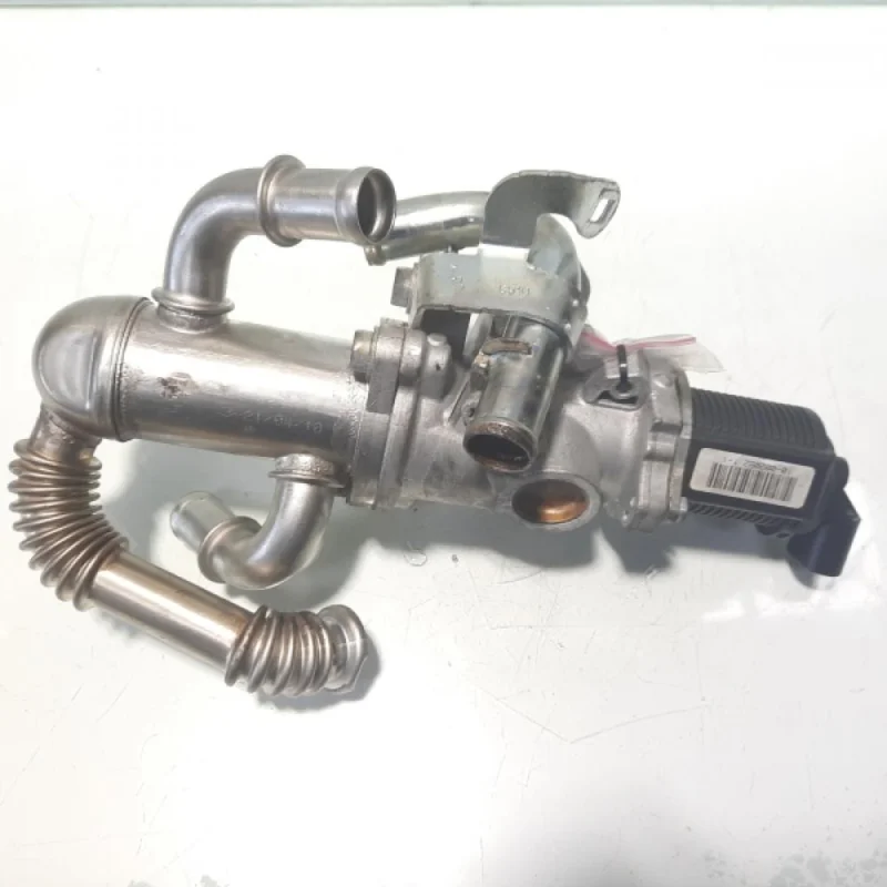 Egr electronic, cod GM55219498, Fiat, 1.3 D JTD, 188A9000 (idi:472914) Super ofertă