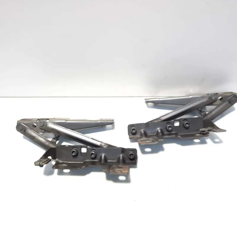 Ofertă de sezon Set balamale capota fata, Opel Insignia A Combi (id:500899)