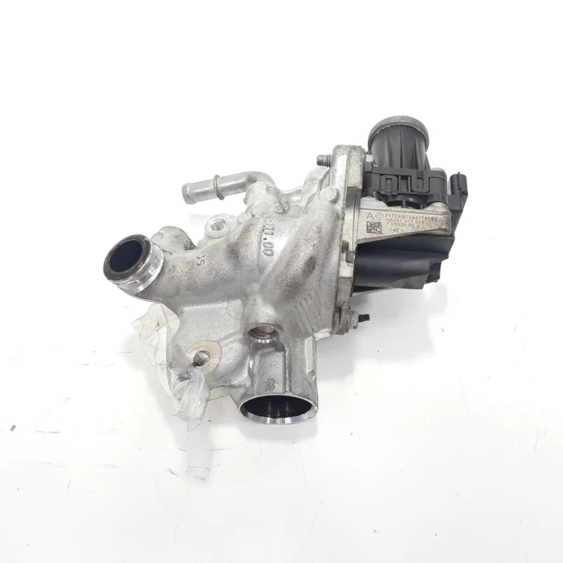 EGR, cod 8201411538, Renault Scenic 4, 1.5 DCI, K9K646 (idi:485220) Preferatul clienților