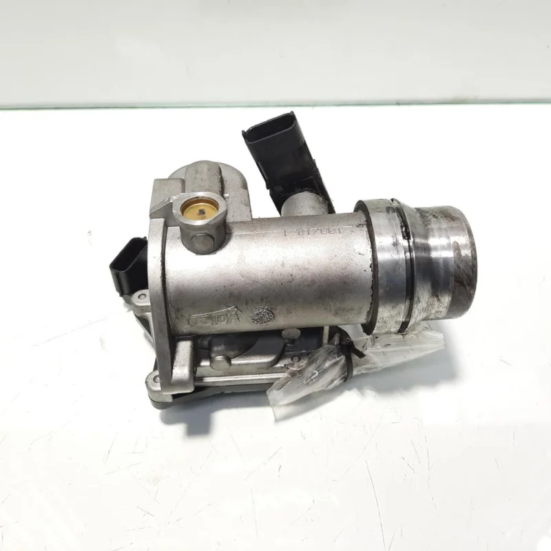 Cumpără acum Clapeta acceleratie, cod 161A09287R, Renault Kadjar, 1.5 DCI, K9K649 (idi:485563)