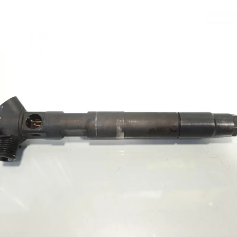 Ultima șansă Injector Delphi, cod A6510704987, Mercedes Clasa E (W212) 2.2 CDI, OM651924 (id:484678)