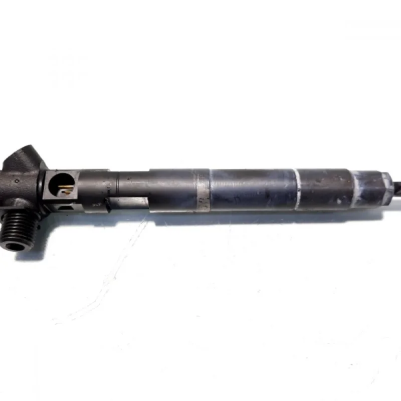 Injector, cod A6510700587, Mercedes Clasa E (W212) 2.2 CDI, OM651924 (id:481839) Preț mic