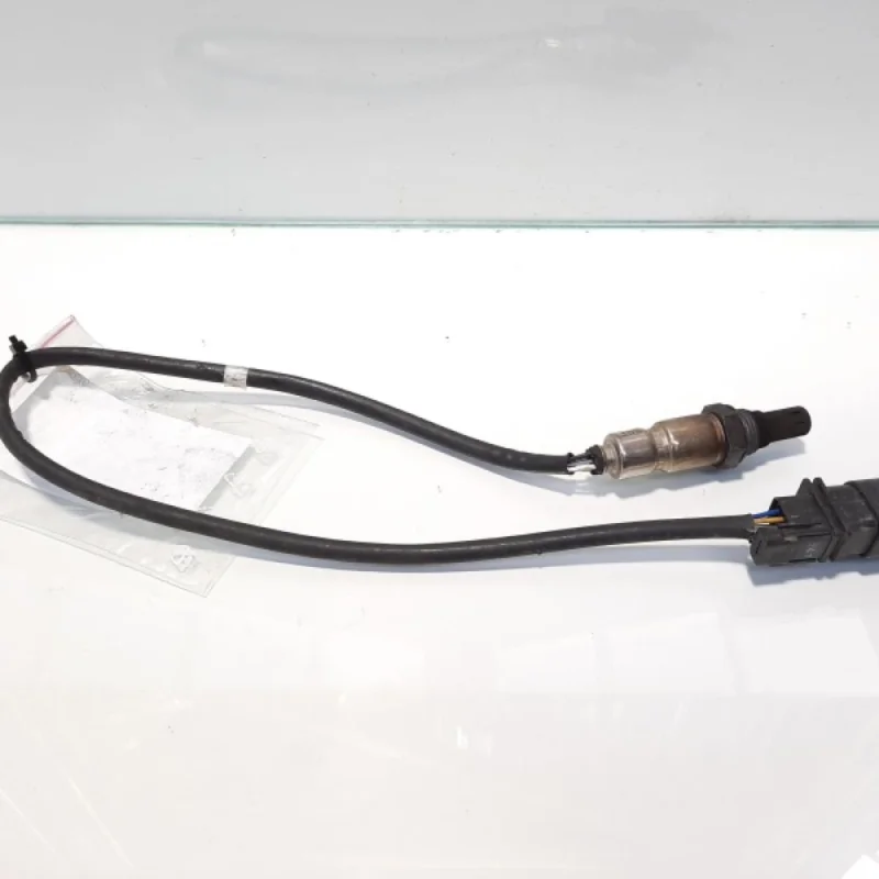 Chilipir Sonda temperatura gaze, cod 03L906088CC, Seat Leon (1P1), 1.6 TDI, CAY (idi:476993)