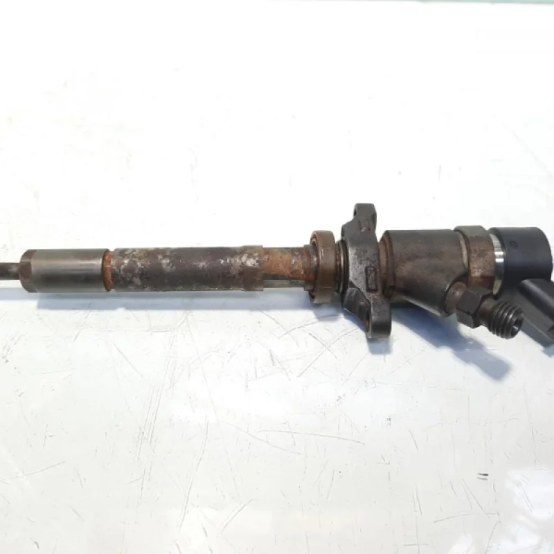 Injector, cod 0445110259, Citroen C3 (I), 1.6 HDI, 9HZ (idi:468397) Promoție