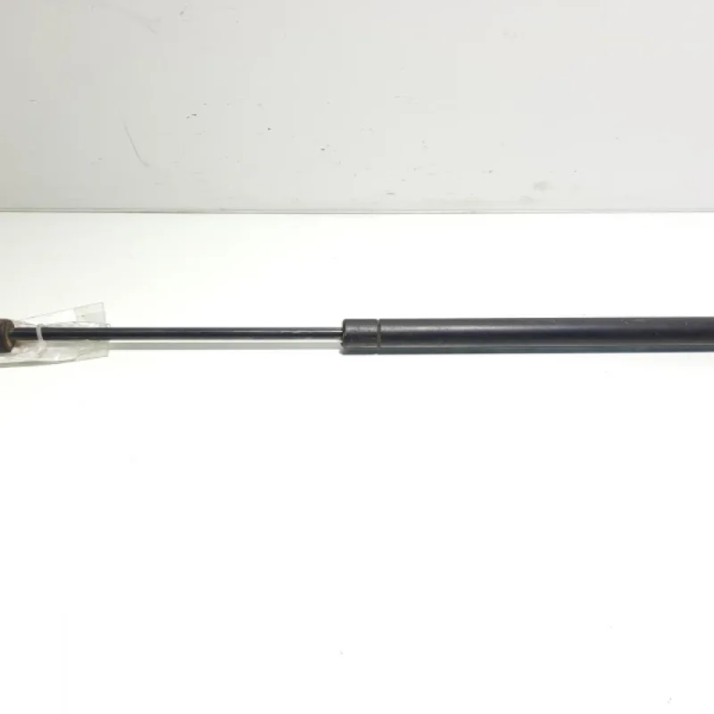 Preferatul clienților Telescop haion, Skoda Octavia 2 Combi (1Z5) (id:455758)