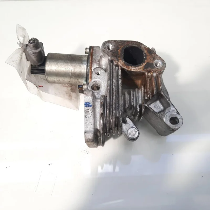 Chilipir EGR, cod 70007505, Renault Laguna 2, 1.9 DCI, F9Q664 (id:464256)