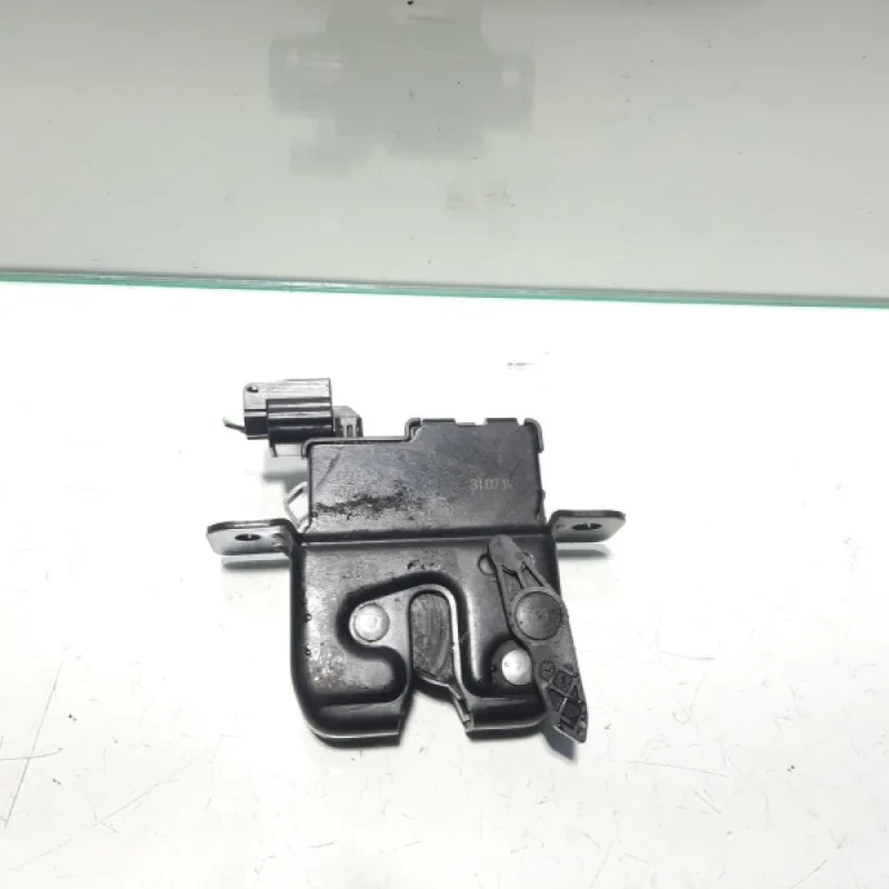 Broasca haion, Dacia, cod 905037373R (id:452188) Plată sigură