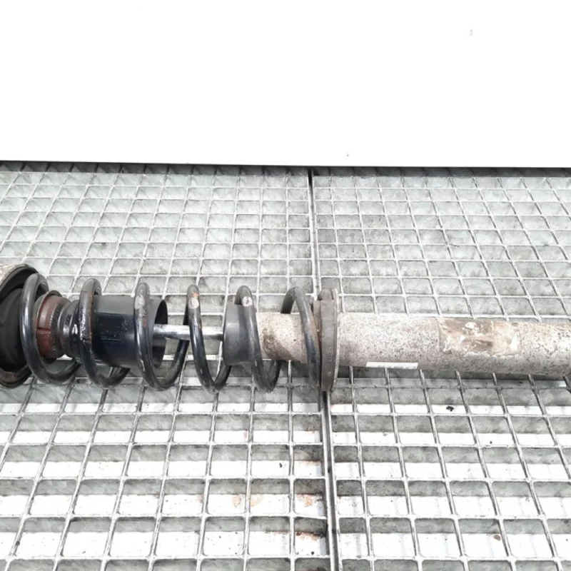 Amortizor stanga spate, Bmw 5 (E60) [Fabr 2004-2010] 7905315 (id:426638) Ofertă