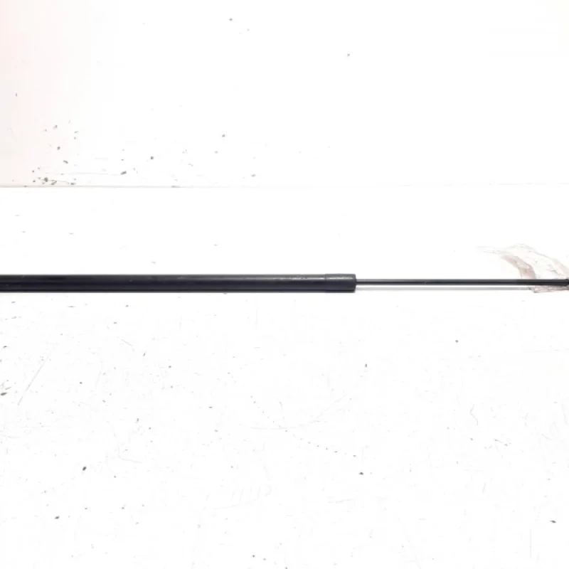 Telescop haion, Renault Kangoo 2 Express, 8200497806 (id:400376) Doar azi