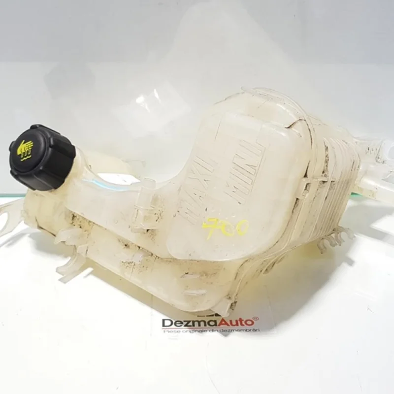 Vas expansiune, Renault Laguna 3 Combi, 2.0 dci, M9R802, 217100014R Reducere