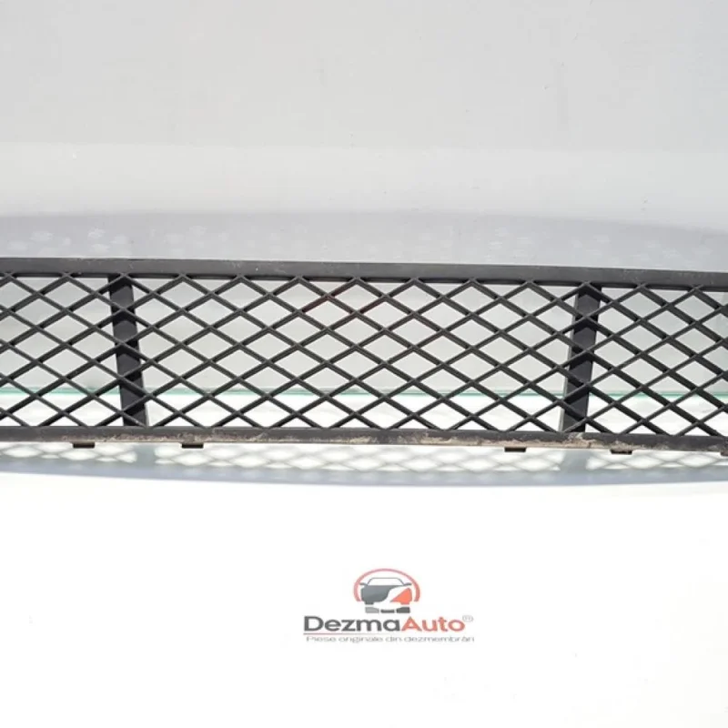 Grila centrala bara fata, Bmw 5 (F10) (id:389060) Reducere
