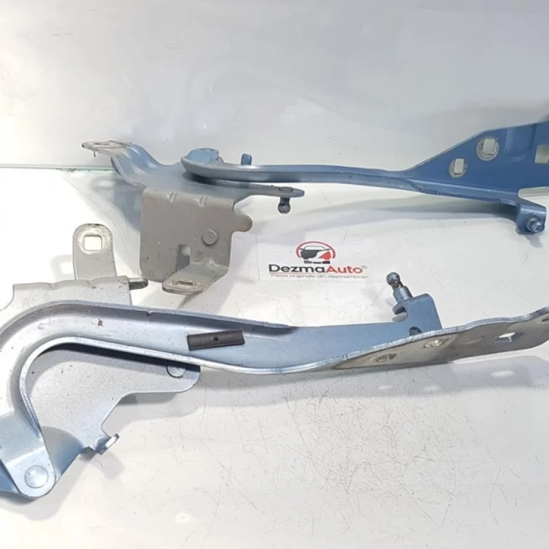 Balamale capota fata Renault Scenic 3 (id:380140) Livrare rapidă