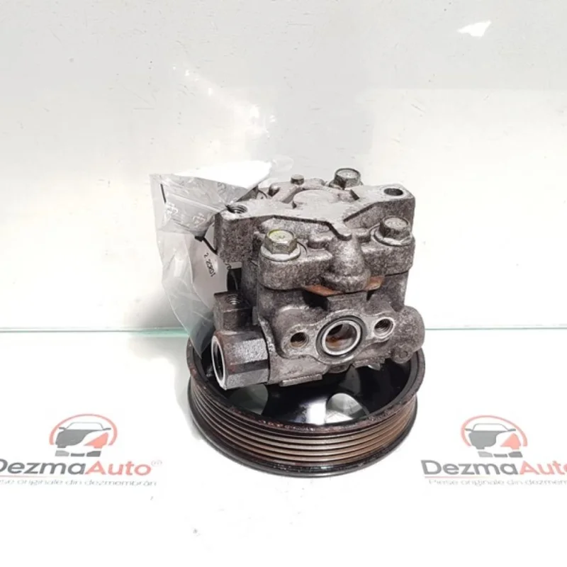 Chilipir Pompa servo, Hyundai Santa Fe 2 (CM) 2.2 crdi, D4EB (pr:110747)