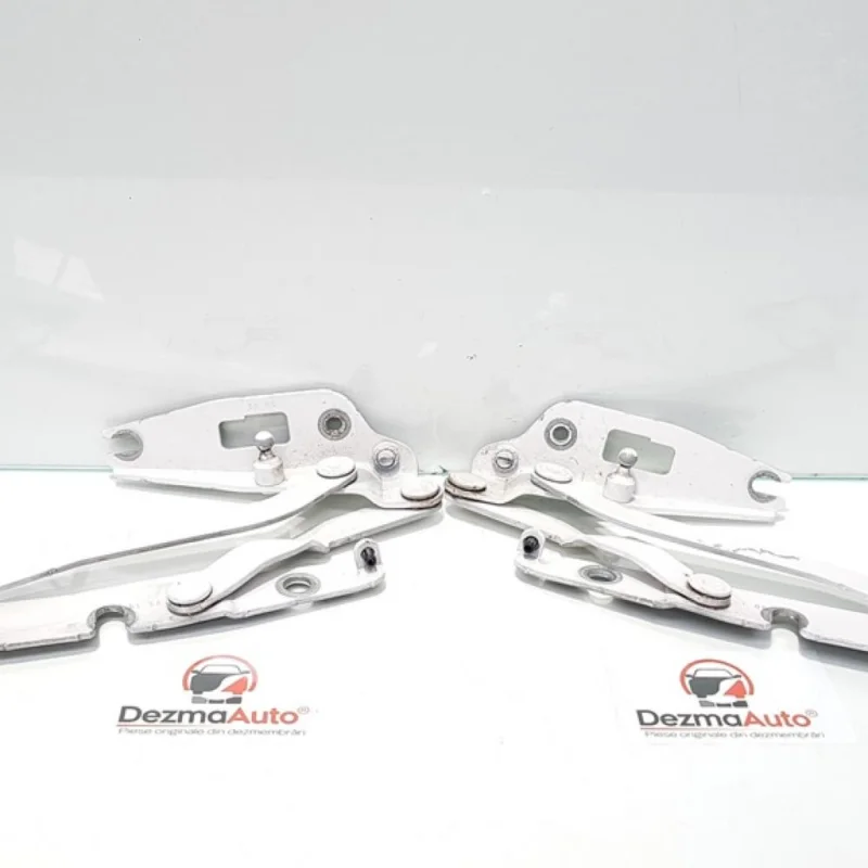 Set balamale capota spate, Seat Exeo (3R2) (id:367116) Cel mai vândut