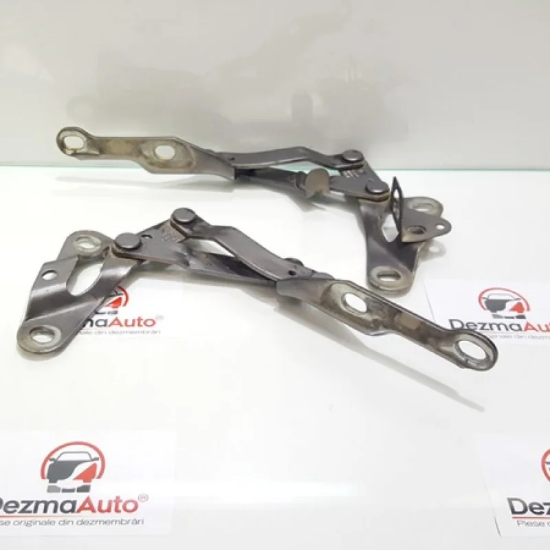 Set balamale capota fata, Ford Galaxy 1 Ofertă de sezon