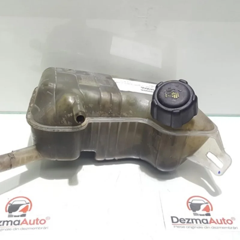 Vas expansiune, 8200262036, Renault Megane 2 Coupe-Cabriolet Doar azi