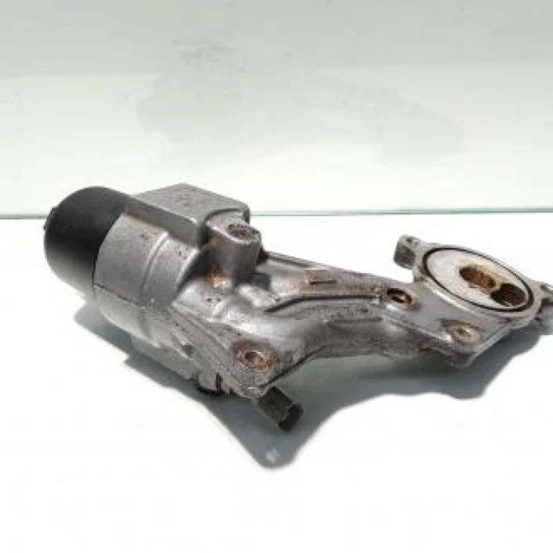 Expediere rapidă Carcasa filtru ulei, cod 9636015310, Citroen Berlingo 1, 1.6B (id:335318)