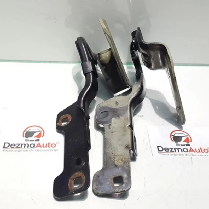 Cumpărături sigure Set balamale capota fata, Renault Clio 3 (id:345523)