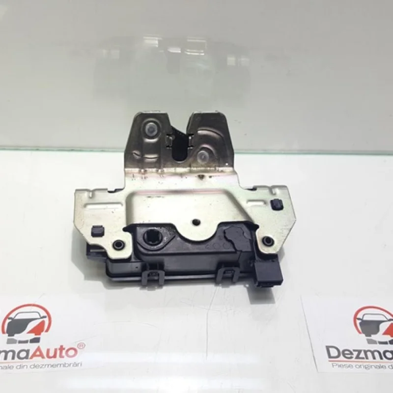 Broasca haion, GM13117285, Opel Zafira B (A05) (id:344351) Livrare rapidă