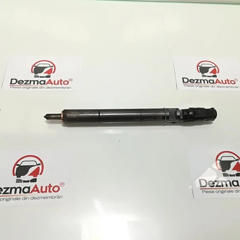 Injector,cod EJBR01001A, Citroen C3 (I) 1.4hdi (id:339720) Comandă acum