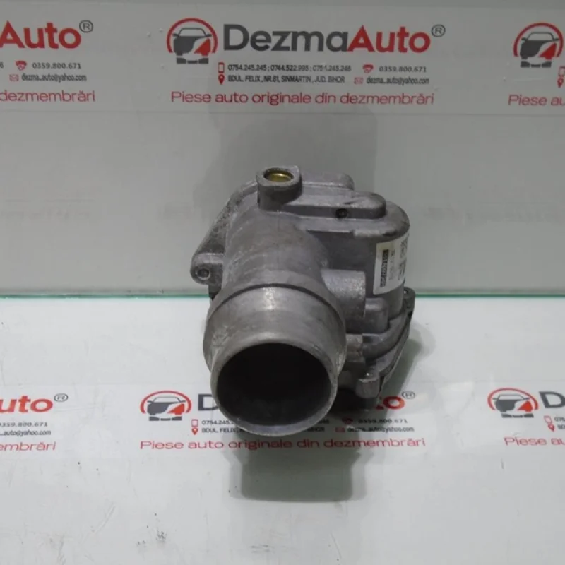 Clapeta acceleratie, 161A09794R, Renault Kangoo 2, 1.5dci Promoție